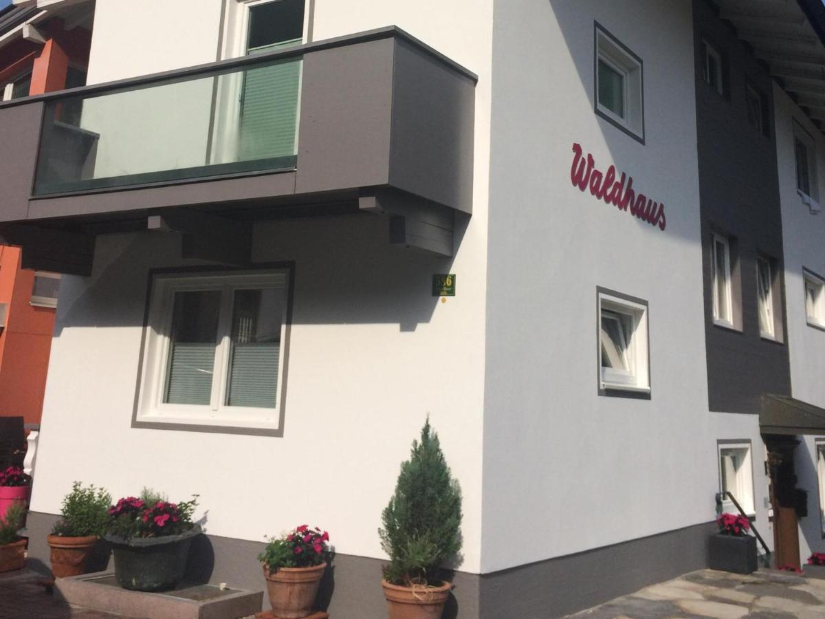 Appartement Waldhaus III à Mayrhofen Extérieur photo